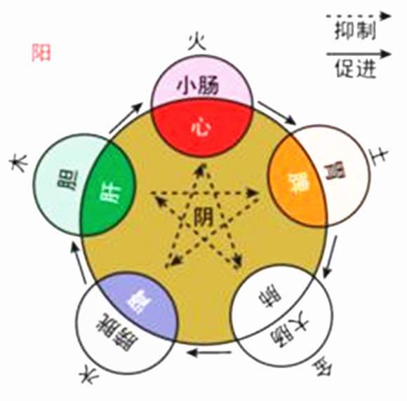 阴阳五行学说