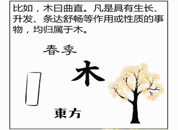 甲木是什么意思