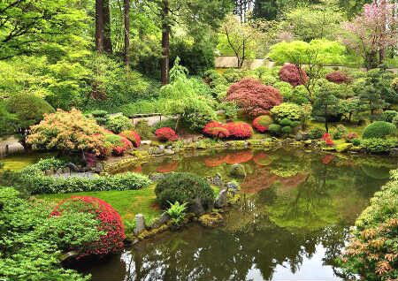 别墅花园种树风水